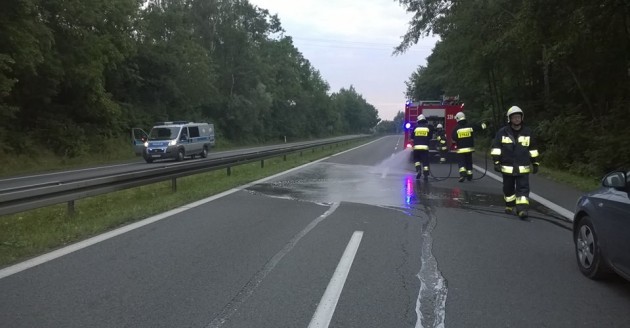 Śmiertelny wypadek na DK1