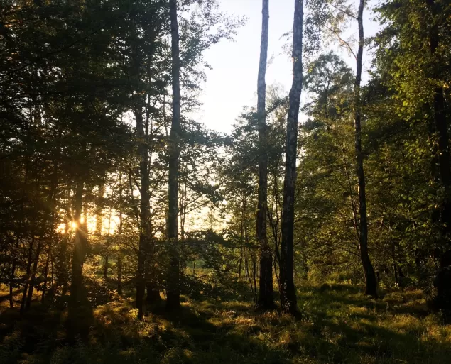 Lato - Zabrzeg
