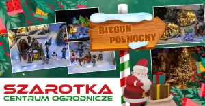 Szarotka
