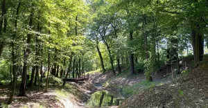 Czechowice,CzechowiceDziedzice,Park,SzwajcarskaDolina,Niedziela,Potok,LoveCzecho,LoveSilesia,fotodn