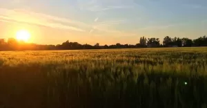 Propozycja do zdjęcia dnia
