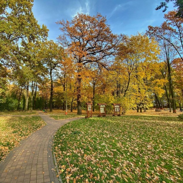 Czechowice,CzechowiceDziedzice,ParkMiejski,Lasek,Październik,Jesień,LoveCzecho,LoveSilesia,fotodn