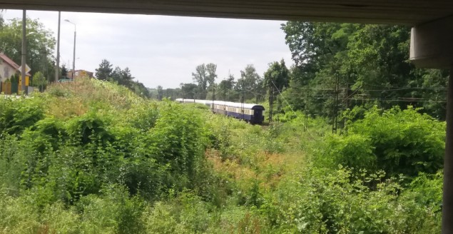 Pociąg "Danube Express" w Czechowicach Dziedzicach