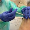 Akcja szczepień przeciw COVID-19 w Punkcie Szczepień Powszechnych