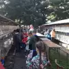 Kury, gęsi, kaczki, króliki i wiele innych zwierząt. Będzie na co popatrzeć