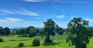 goczałkowice,zabrzeg,sobota,czerwiec,silesia,fotodnia,instagram