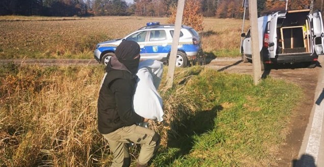 Eco-patrol interweniował przy spalaniu odpadów i rannej sarnie