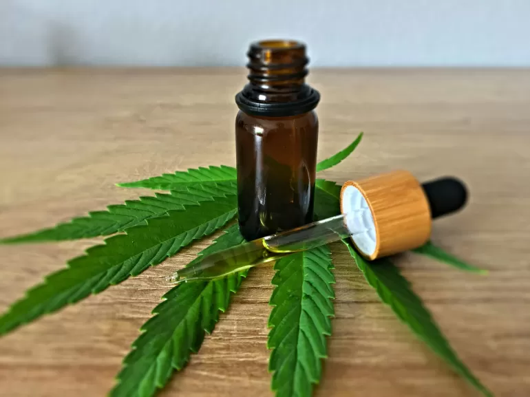 Jak CBD wpłynie na Twoje zdrowie?