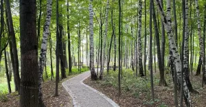 Czechowice,CzechowiceDziedzice,Park,SzwajcarskaDolina,Jesień,Spacer,LoveCzecho,LoveSilesia,fotodni