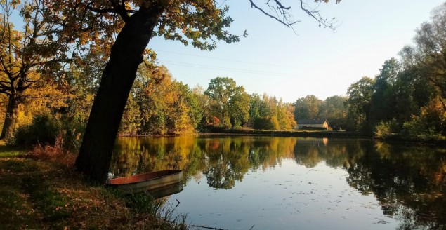 Jesień 2018.