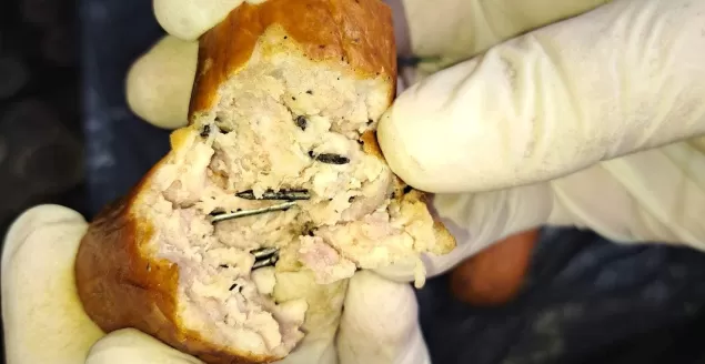 Kiełbasa nafaszerowana gwoździami! Pilnujcie pupili!
