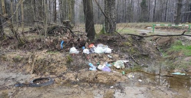 Radni pytają burmistrza o zaśmiecanie Górnego Lasu przy 7R