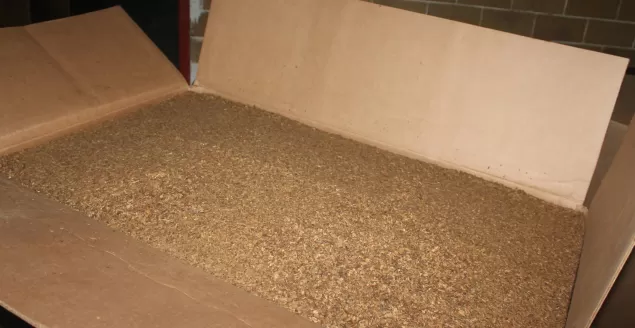 Przewoził tytoń bez akcyzy wart 2 500 000 zł. Grozi mu surowa kara