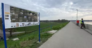 Tablice, jezioro, ptaki