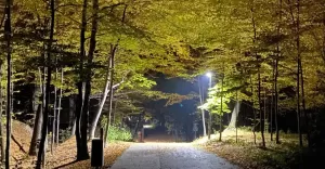 Czechowice,CzechowiceDziedzice,Park,SzwajcarskaDolina,Wieczór,Jesień,LoveCzecho,LoveSilesia,fotod