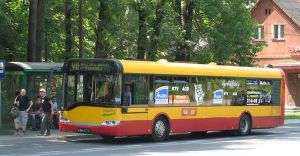 Kursy autobusów na majówkę