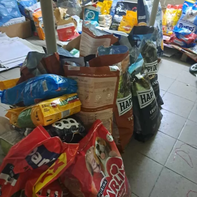 Straż miejska rozda za darmo karmę dla psów i kotów