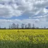 Wideo-dnia: ach, jak przyjemnie! Wiosenne chwile w Bronowie