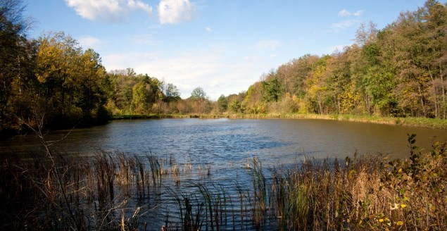 Jesień na Górnych