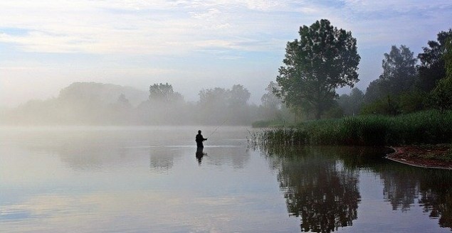 Źródło: pixabay.com