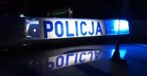 Policja, ilustracja