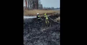 Kolejny pożar traw. Interweniowały trzy zastępy strażaków