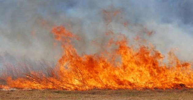 Kolejny pożar suchej trawy w gminie