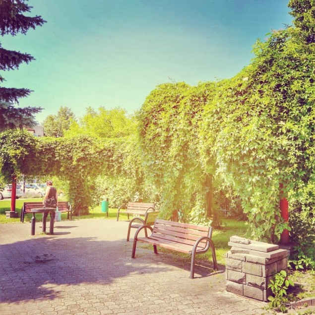 CzechowiceDziedzice,zieleń,skwer,loveczecho,lovesilesia,fotodnia,instagram