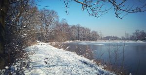Lipowiec, zima, staw