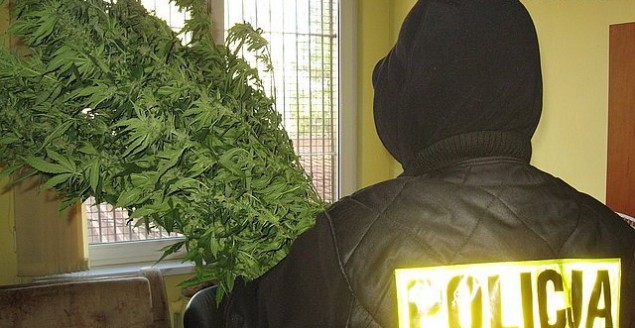 Policja, konopie indyjskie, narkotyki
