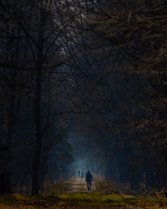 czechowicedziedzice,las,wiosna,zabrzeg,loveczecho,livesilesia,fotodnia,instagram