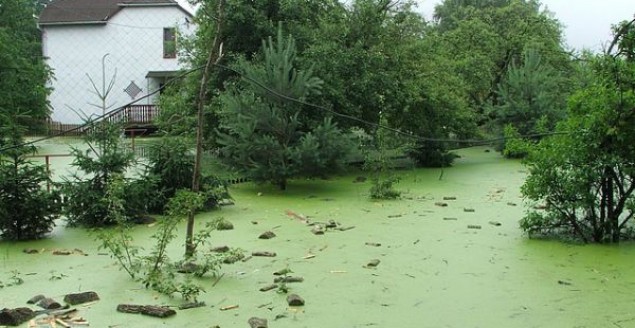 Kaniów: Ciągle przybywa wody
