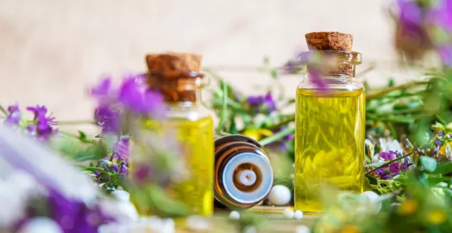 Ostropest — superfood w Twojej kuchni