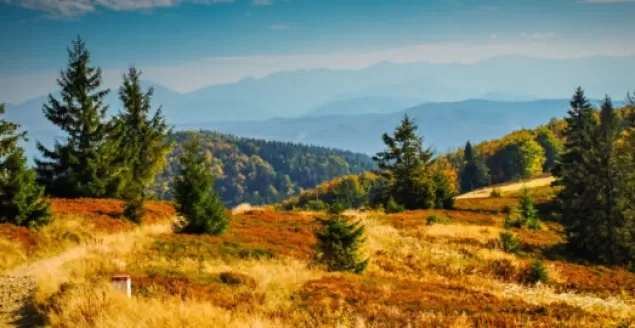 MOSiR zaprasza na wycieczkę w Beskid Śląski