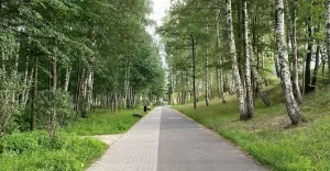 Czechowice,CzechowiceDziedzice,Sierpień,Upał,Park,SzwajcarskaDolina,LoveCzecho,LoveSilesia,fotodn