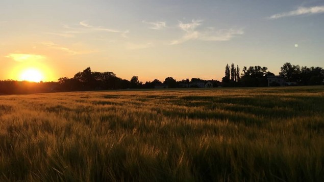 pocztowkazczechowic,czechowicedziedzice,lato,lovesilesia,zachódsłońca,fotodnia,instagram