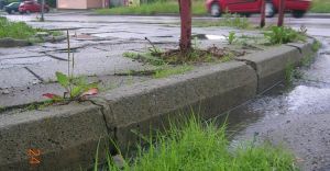 niedrożne studzienki, studzienka