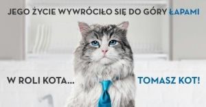 jak zostać kotem