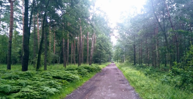 Zabrzeg Czarnolesie
