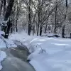 Wideo-dnia: zimowy poranek w Dolinie Potoku Czechowickiego