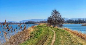 zabrzeg,goczalkowicezdroj,stawzabrzeszczak,jeziorogoczalkowickie,czecho,loveczecho,fotodnia,instagr