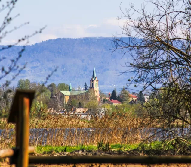 widok na kościół Najświętszej Maryi Panny Wspomoże
